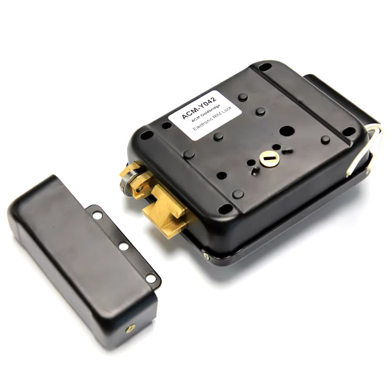 Serrure électrique avec lecteur de carte d'access ACM-Y047, Serrure intelligente 12-18V DC LED