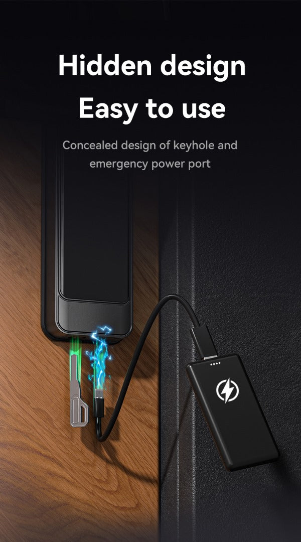 Serrure Biométrique Tuya - Ouverture par empreinte digitale, code, clé, et WiFi